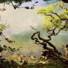 harmonia-and-brian-eno-remixes