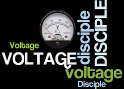 Free Live Rack from Voltage Disciple