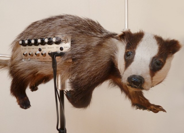badgermin theremin