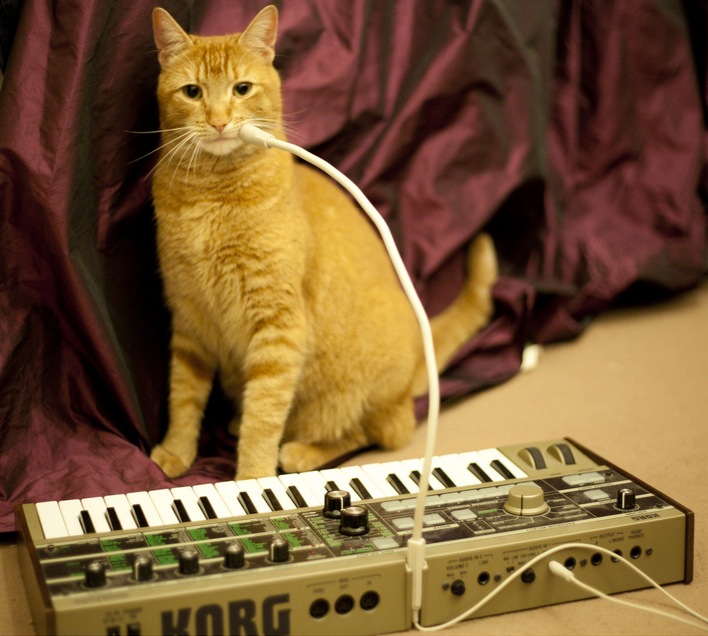 Angry cat sound by koriiiiiiiiiiiiii Sound Effect - Meme Button - Tuna
