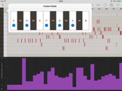 Pro MIDI for iPad – Synthtopia